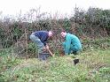 Planting Trees 008